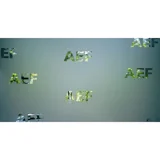 Andersson Elffers Felix (AEF)