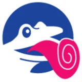 Flycatcher Internet Research