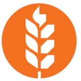 Van Aarsen International